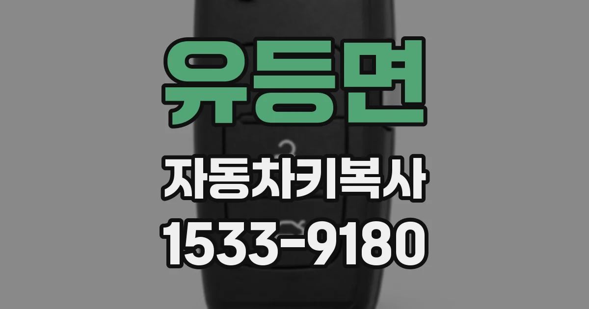 유등면 자동차키복사