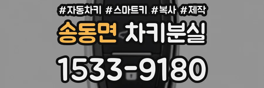 송동면 차키분실