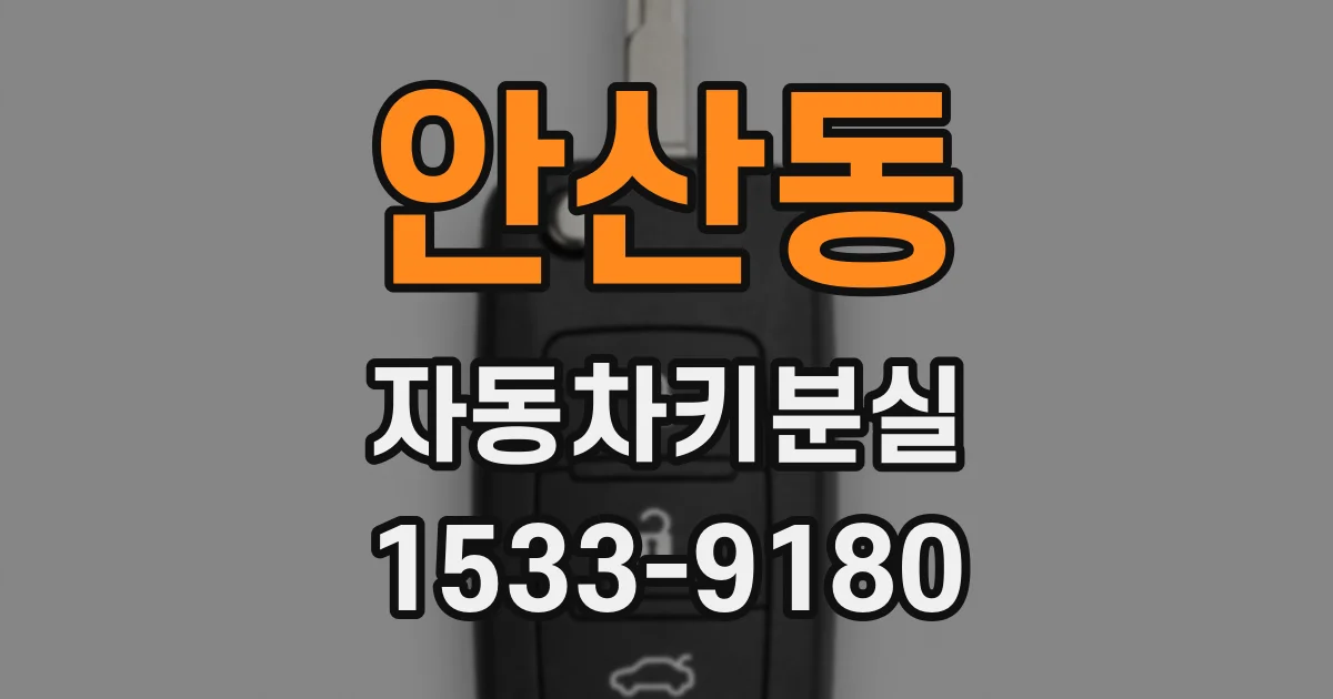 안산동 자동차키분실