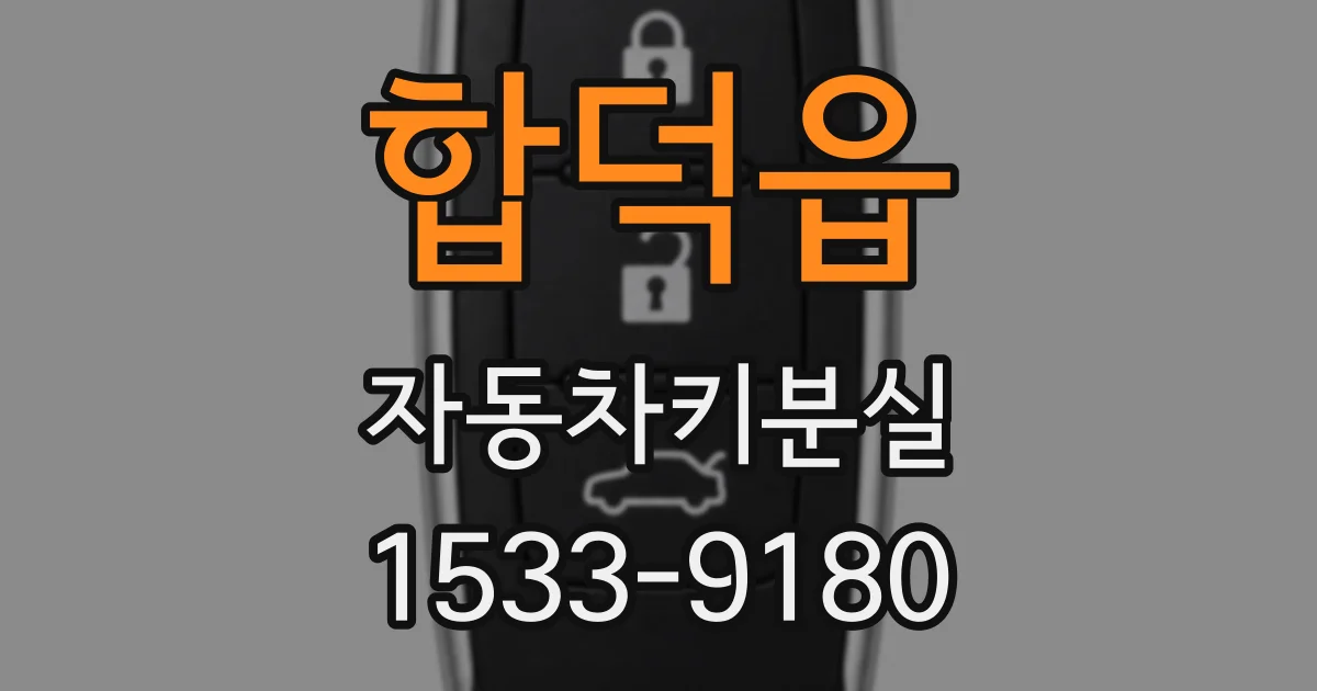 합덕읍 자동차키분실