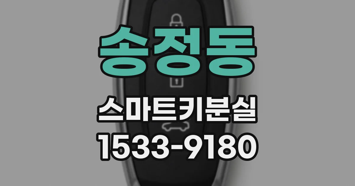 송정동 스마트키분실