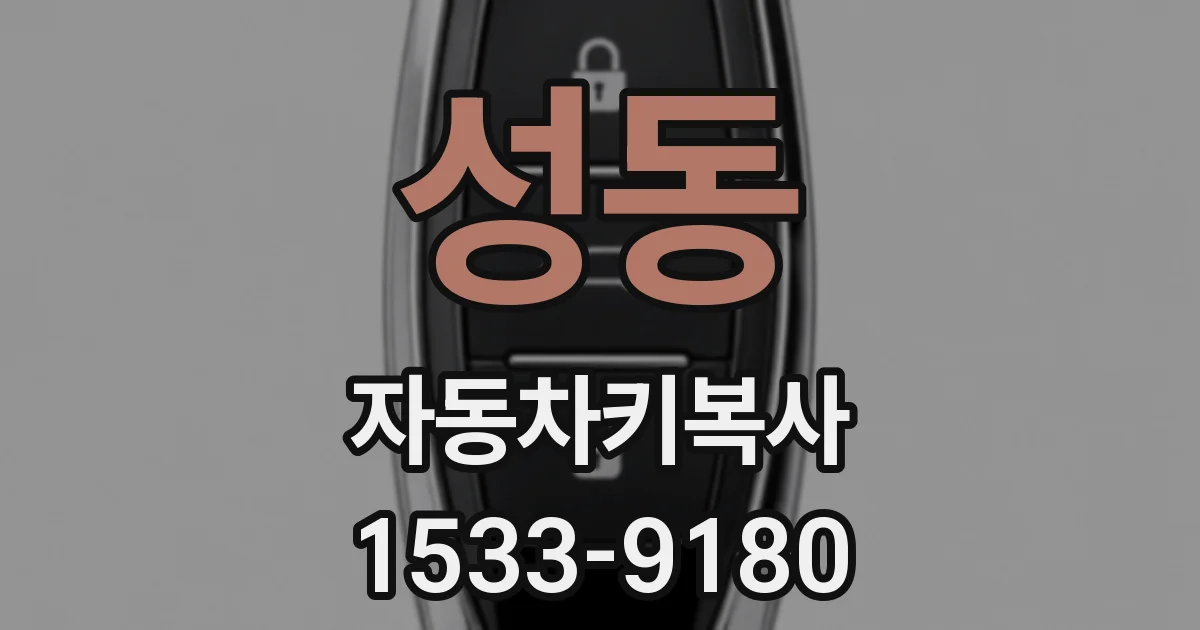 성동 자동차키복사