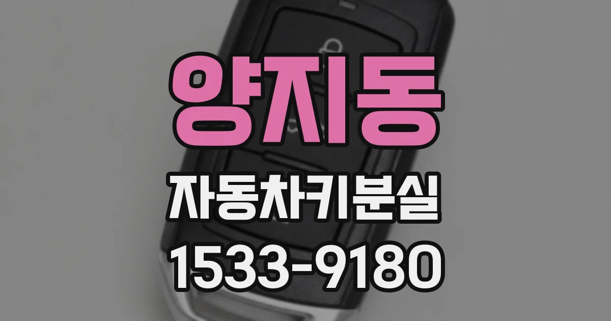 양지동 자동차키분실