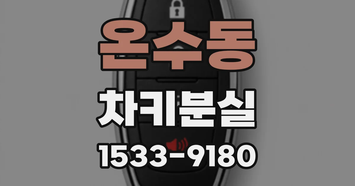 온수동 차키분실
