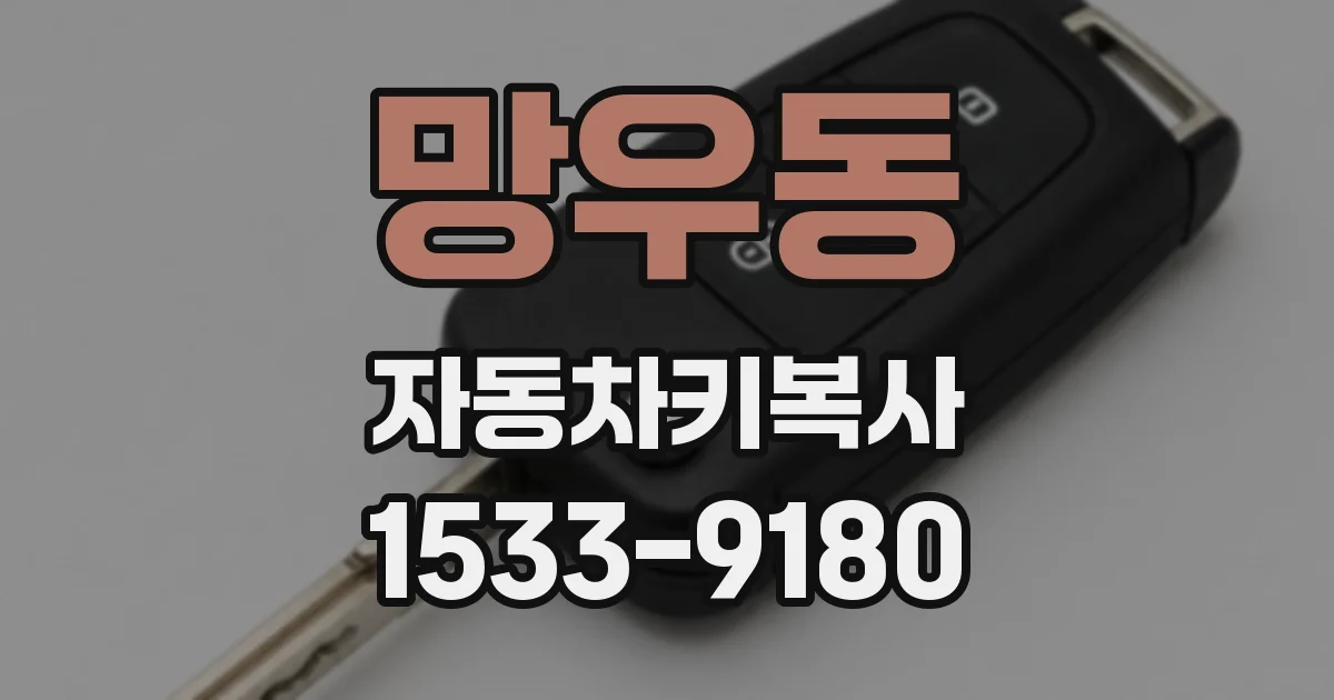 망우동 자동차키복사