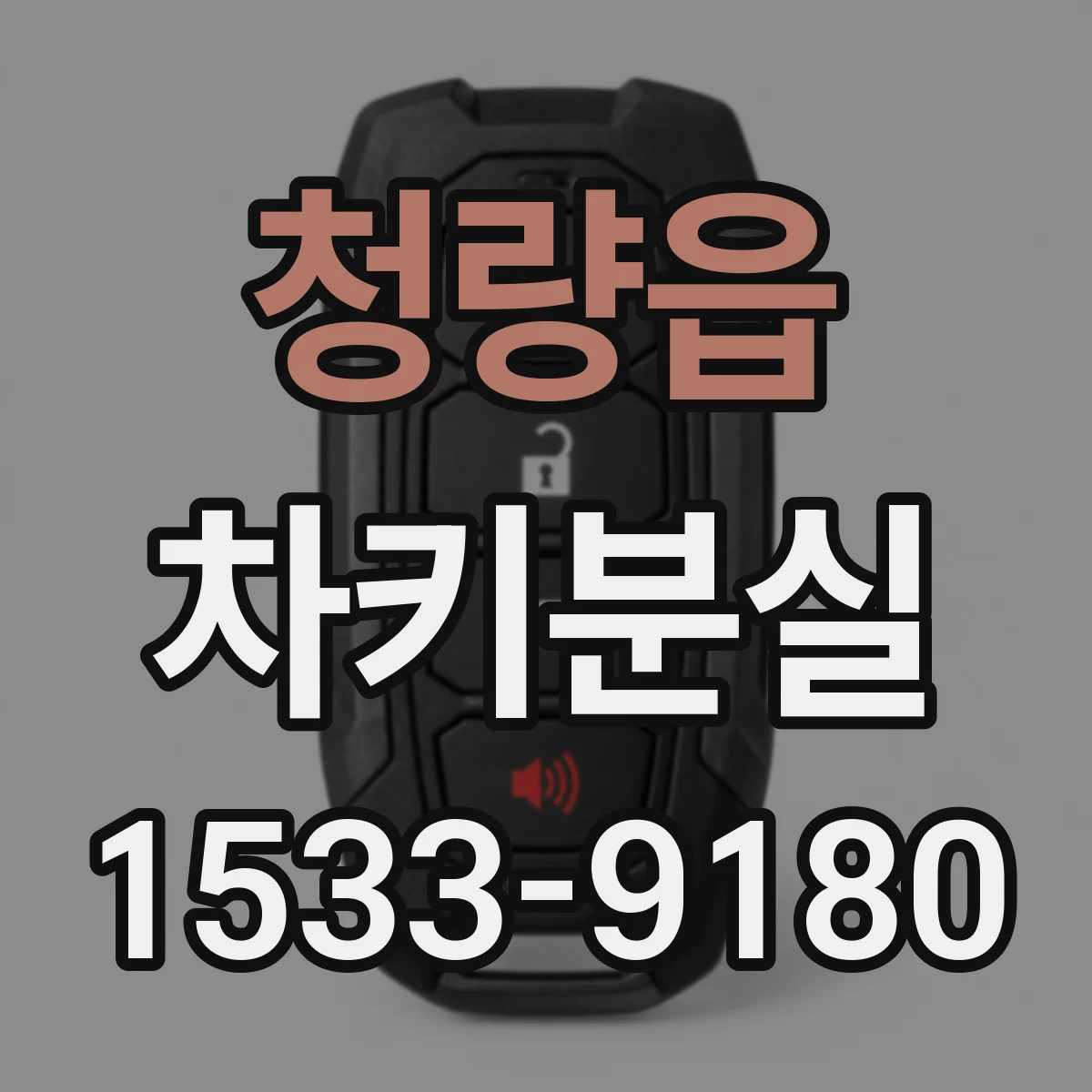 청량읍 차키분실