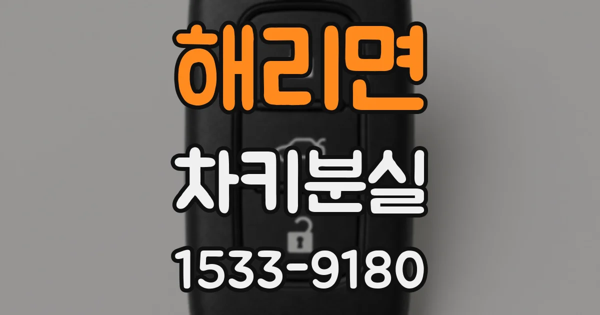 해리면 차키분실
