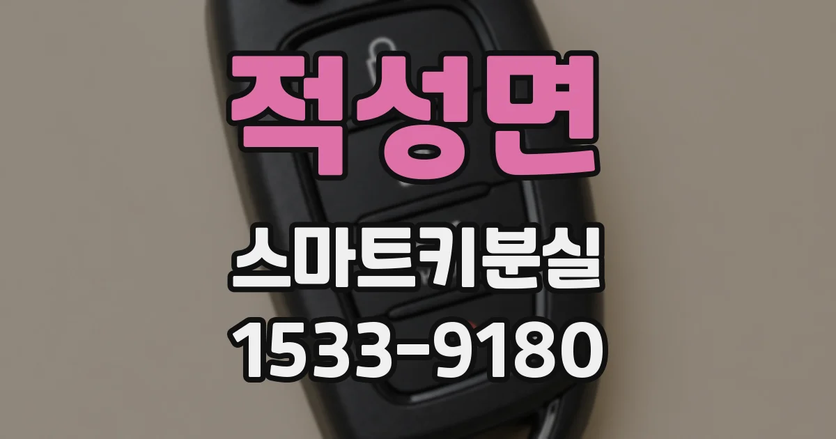 적성면 스마트키분실