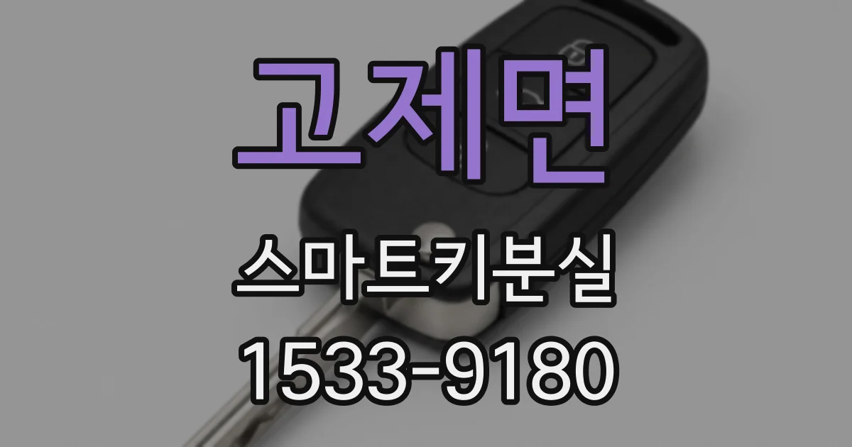 고제면 스마트키분실