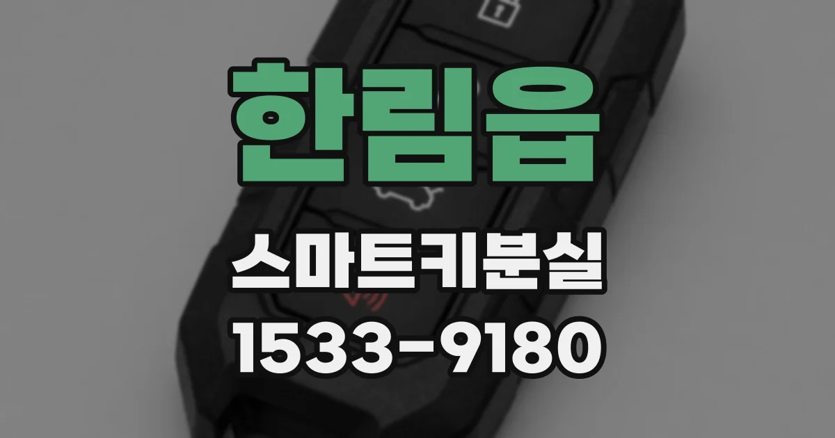 한림읍 스마트키분실
