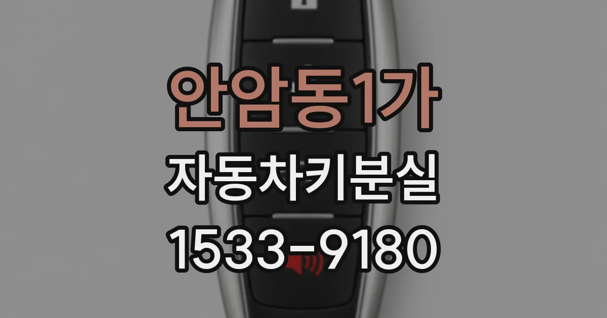 안암동1가 자동차키분실