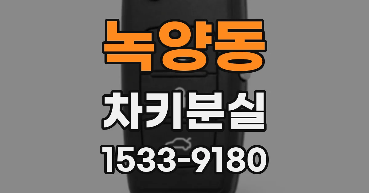 녹양동 차키분실