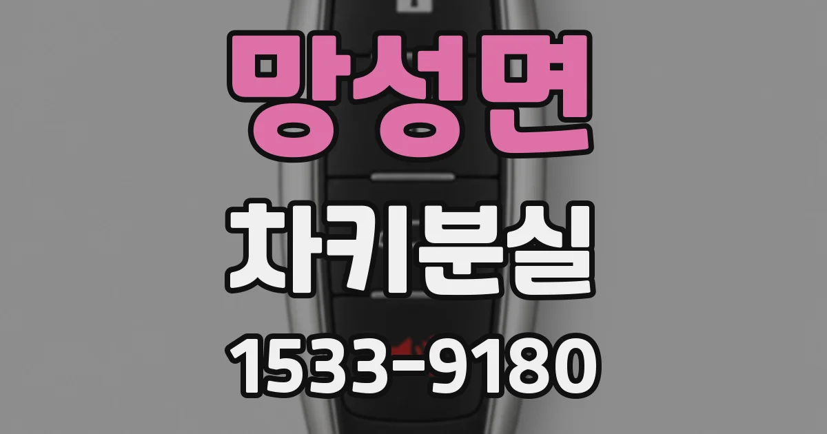 망성면 차키분실