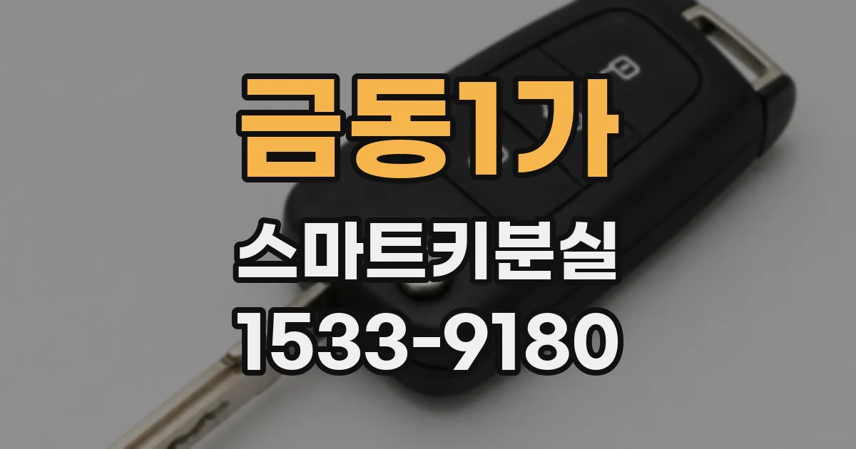 금동1가 스마트키분실