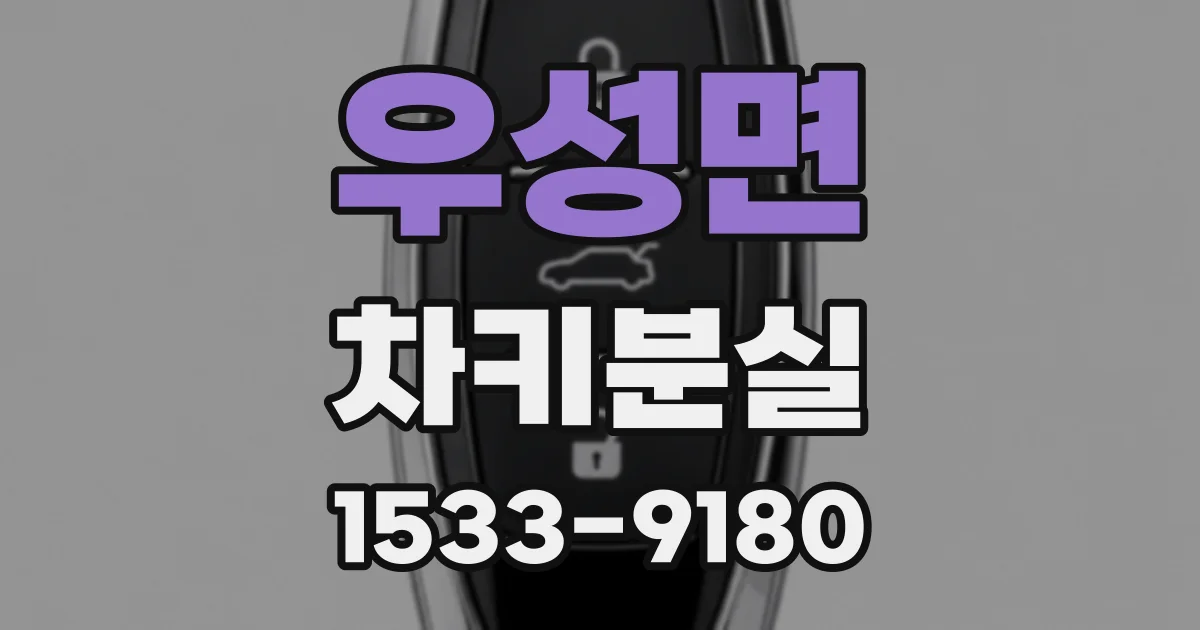 우성면 차키분실