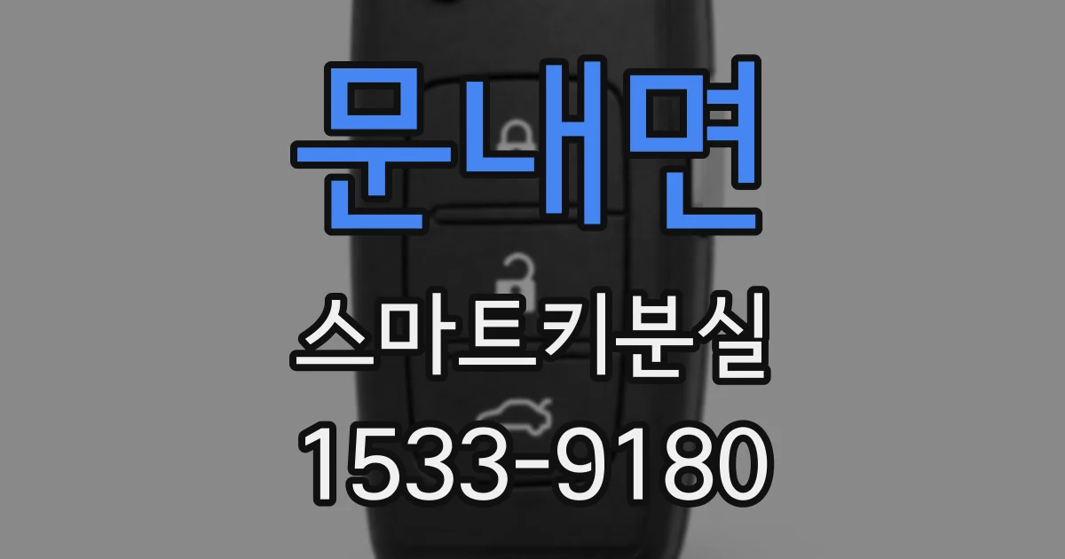 문내면 스마트키분실