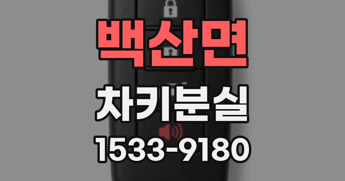 백산면 차키분실