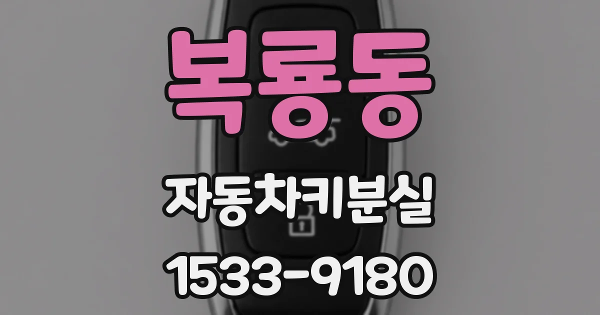 복룡동 자동차키분실