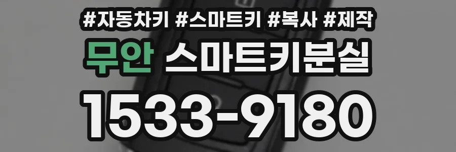 무안 스마트키분실