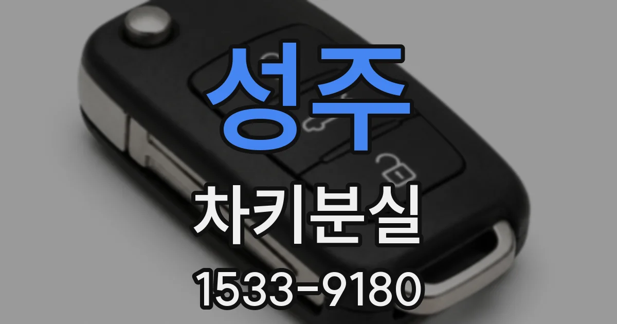성주 차키분실