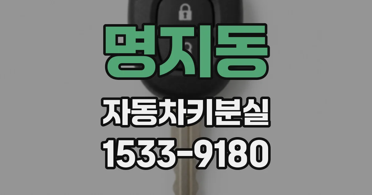 명지동 자동차키분실
