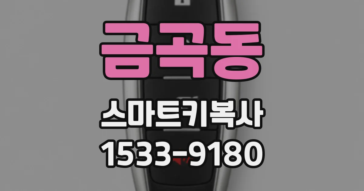 금곡동 스마트키복사
