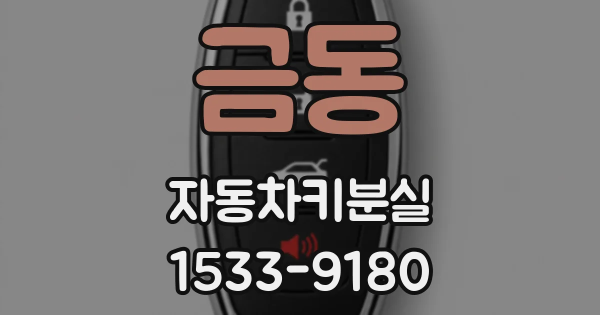 금동 자동차키분실