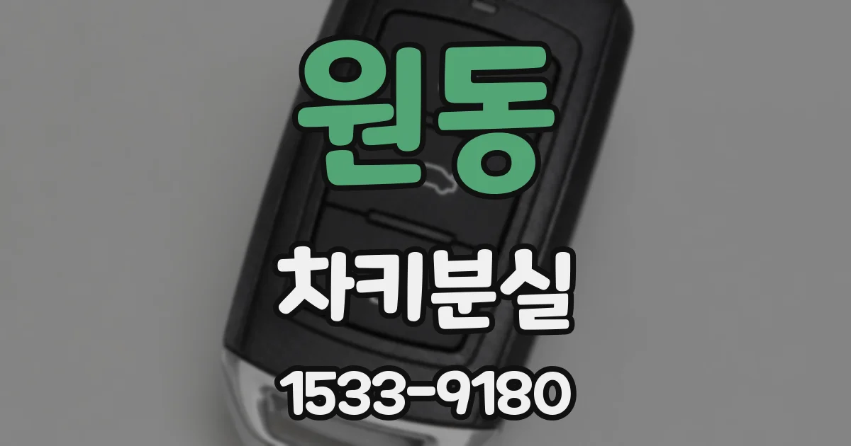 원동 차키분실