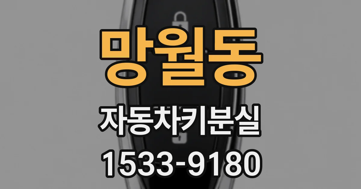 망월동 자동차키분실