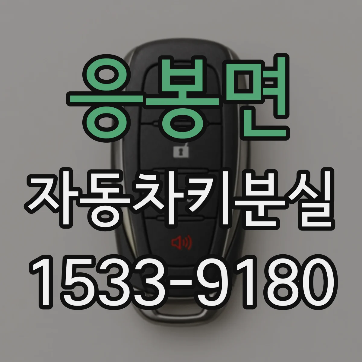 응봉면 자동차키분실
