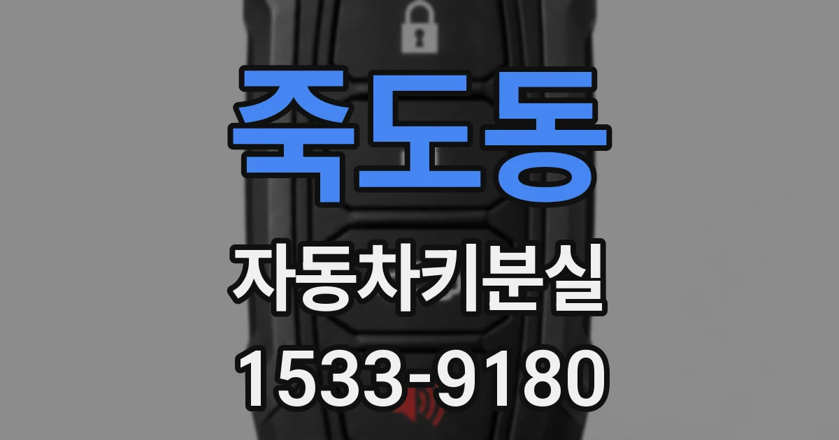 죽도동 자동차키분실