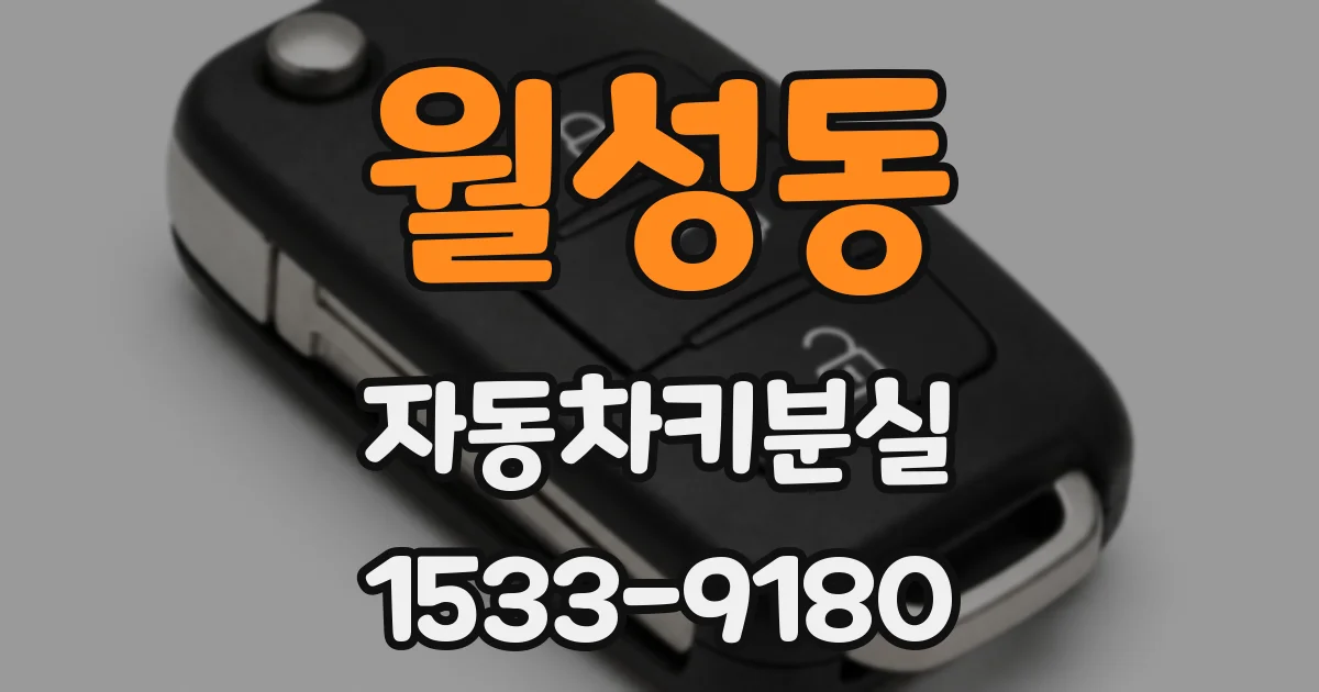 월성동 자동차키분실