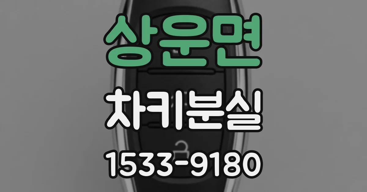 상운면 차키분실