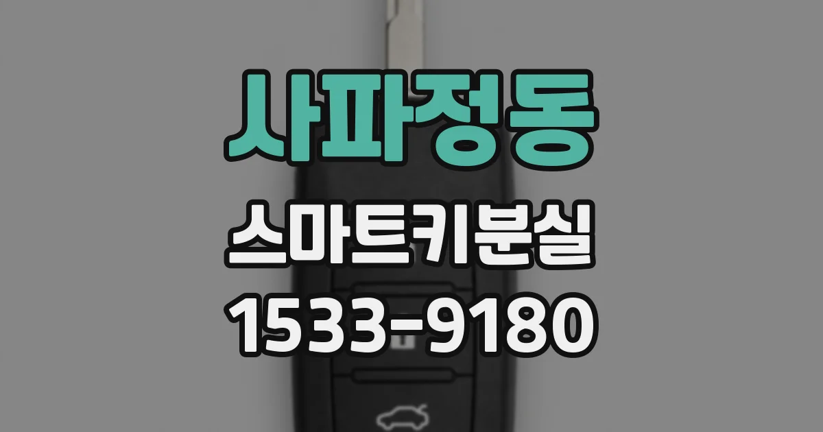 사파정동 스마트키분실