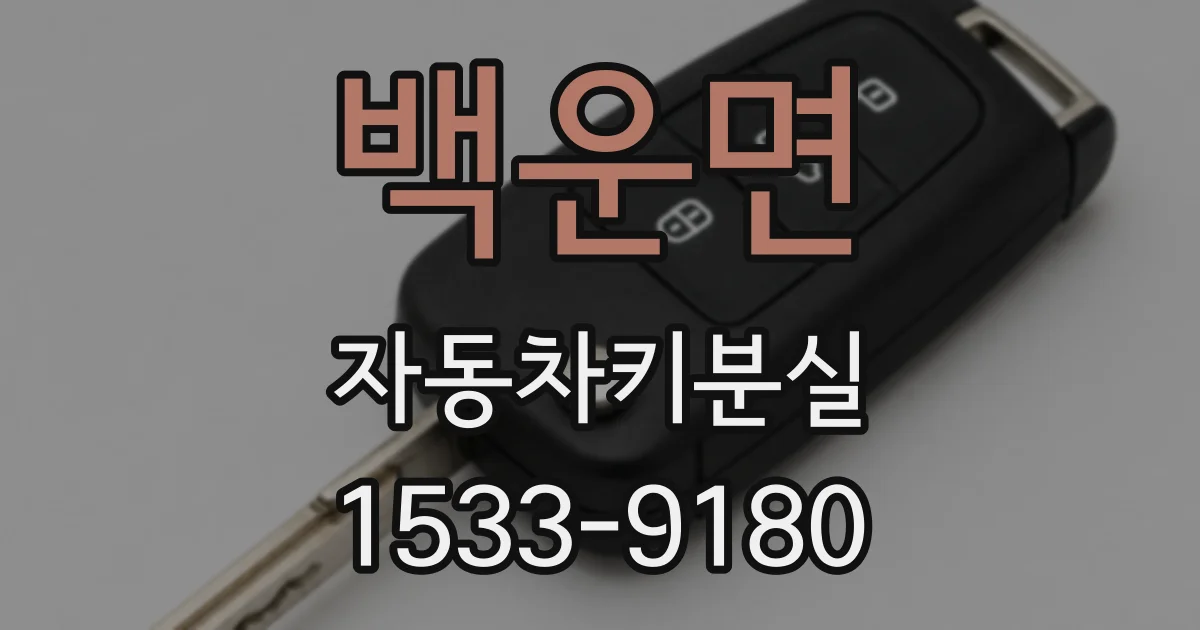 백운면 자동차키분실
