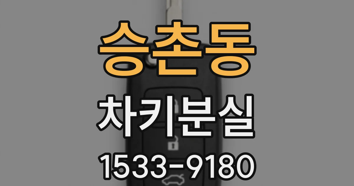 승촌동 차키분실