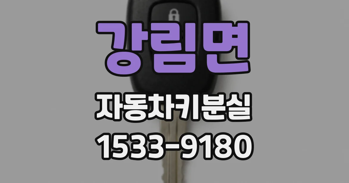 강림면 자동차키분실