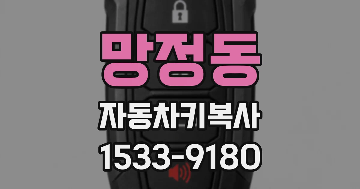 망정동 자동차키복사
