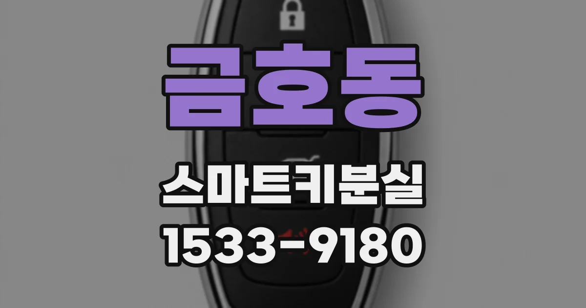 금호동 스마트키분실