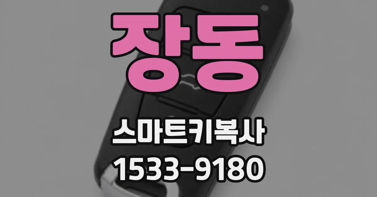 장동 스마트키복사