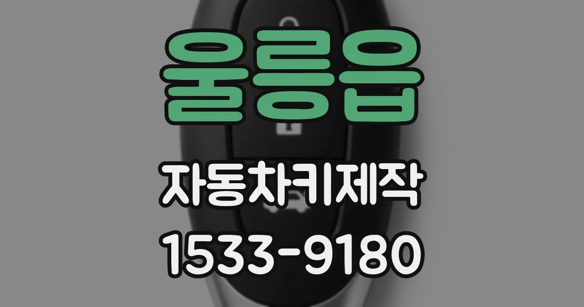 울릉읍 자동차키제작