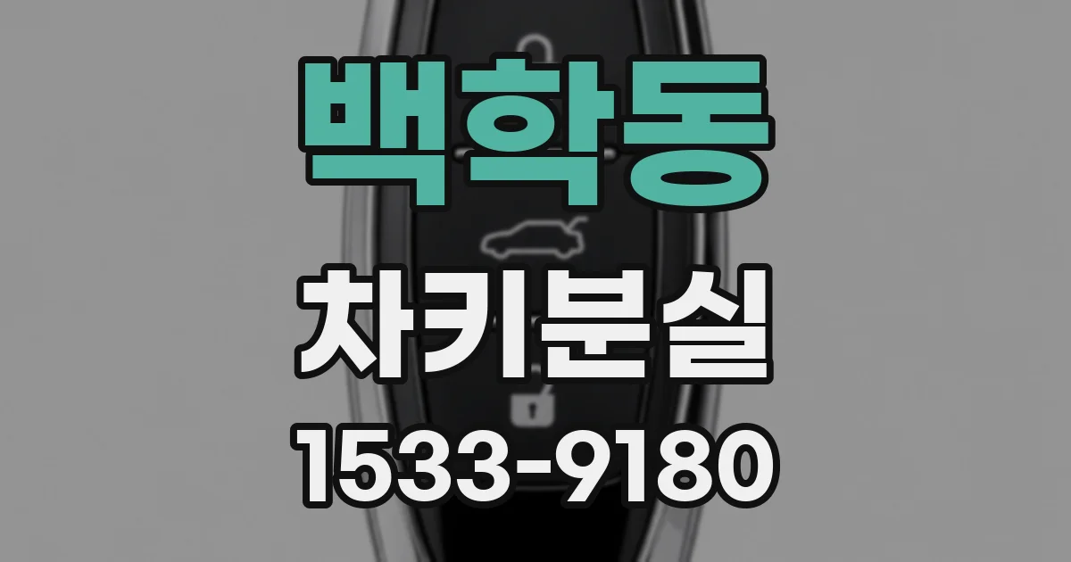 백학동 차키분실