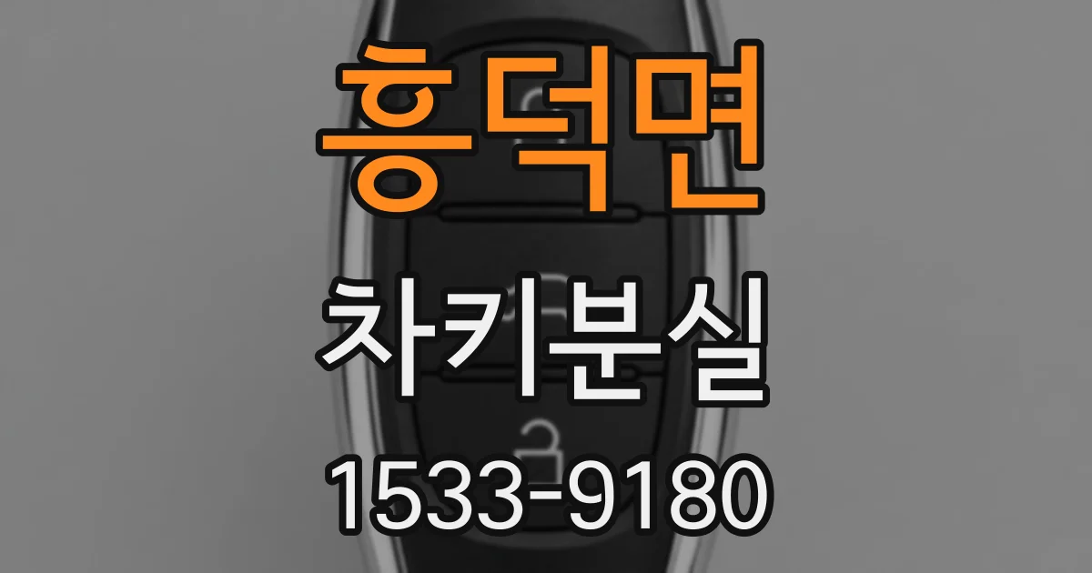 흥덕면 차키분실