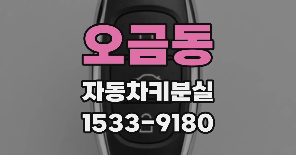 오금동 자동차키분실