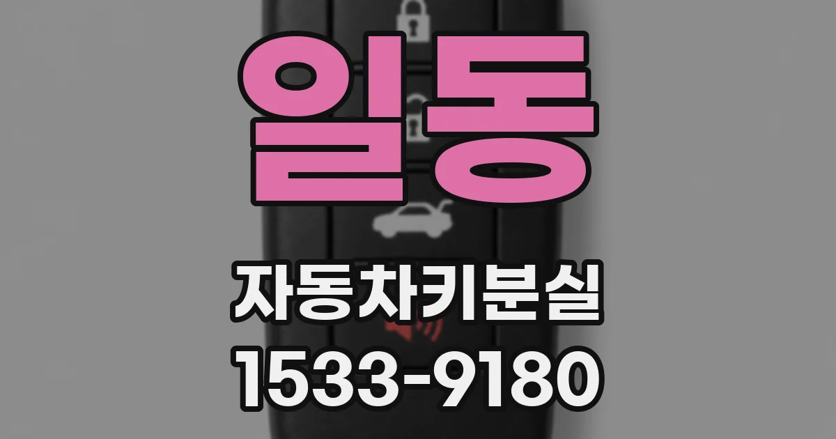 일동 자동차키분실