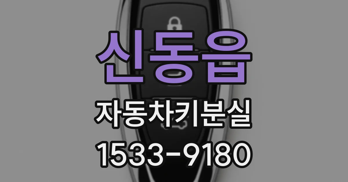 신동읍 자동차키분실