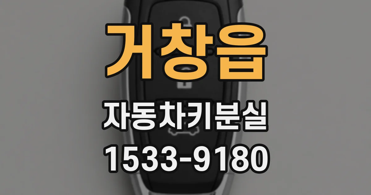 거창읍 자동차키분실