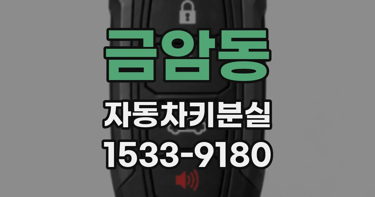 금암동 자동차키분실