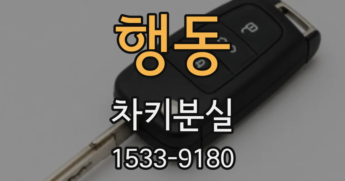 행동 차키분실