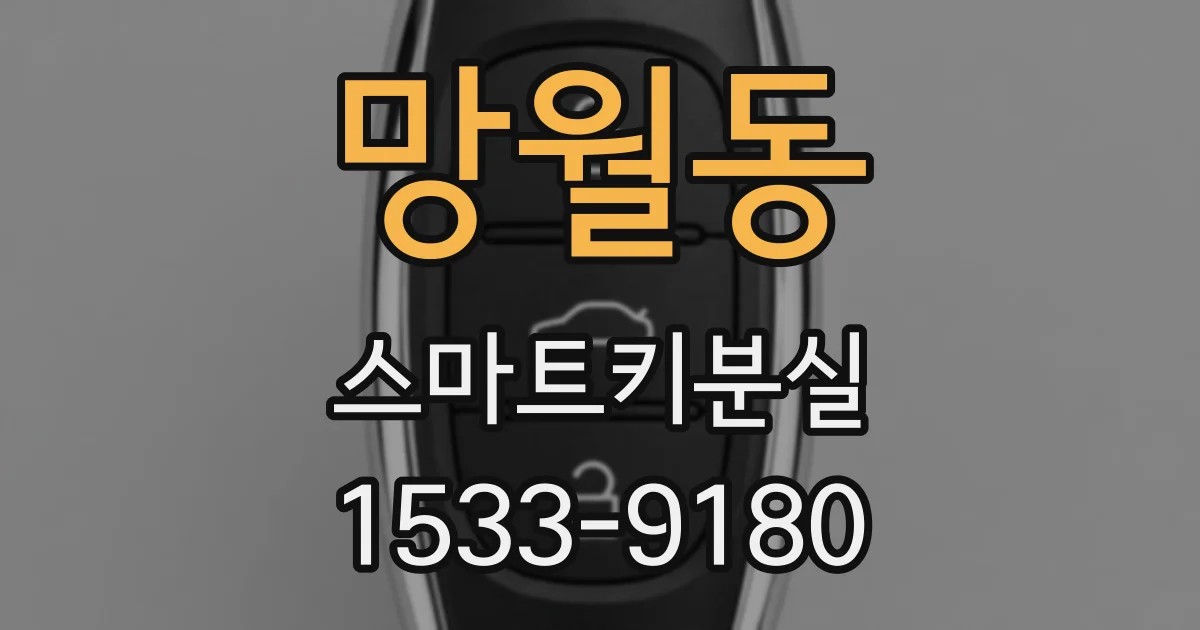망월동 스마트키분실